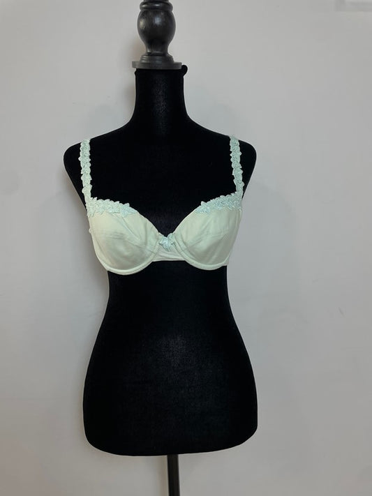 Mint Green Floral Embroidered Detail Bra