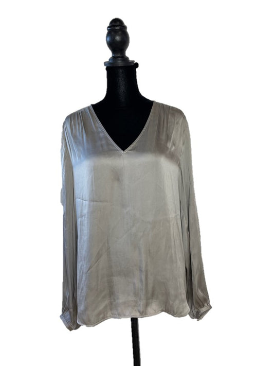 Sheer Silver Long Sleeve V-Neck Blouse